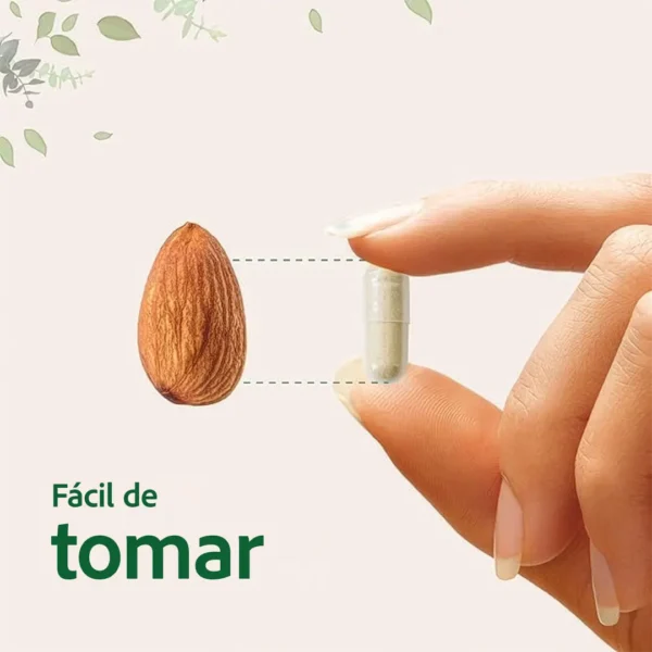 Mane02 Lion's Mane (120 cápsulas)