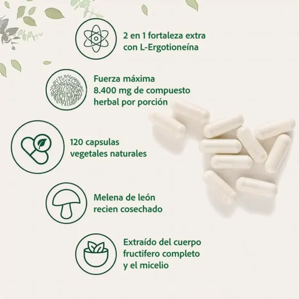Mane03 Lion's Mane (120 cápsulas)
